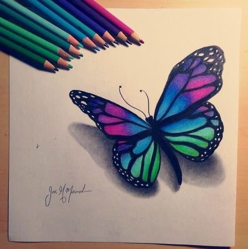500x503 Butterfly Drawing