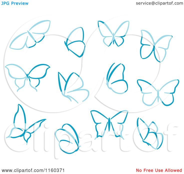 736x697 Image Result For Easy Drawings Step By Step Butterfly Sketching