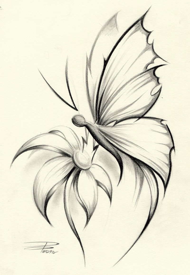 800x1155 Butterfly Flower By ~davepinsker On Pictures