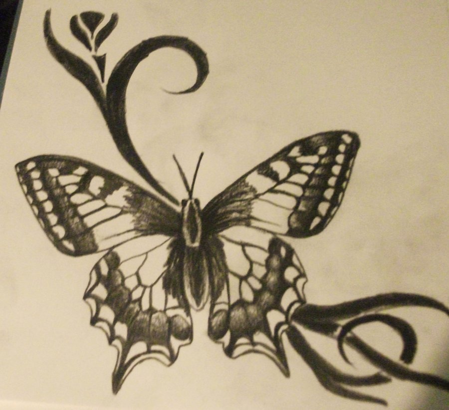 900x822 Butterfly Tattoo Sketch By Madschquee