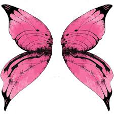 225x224 Image Result For Fairy Wings Drawing Fairy Wings