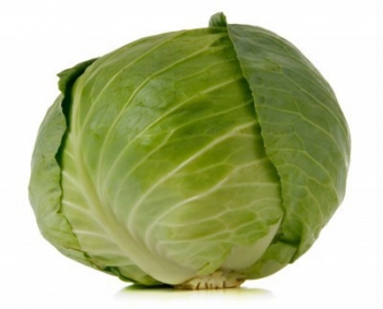 350x283 Drawing A Cabbage With My Left Hand Thegodguy