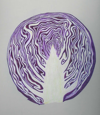 350x400 Ronna's Blog Study Of A Cabbage