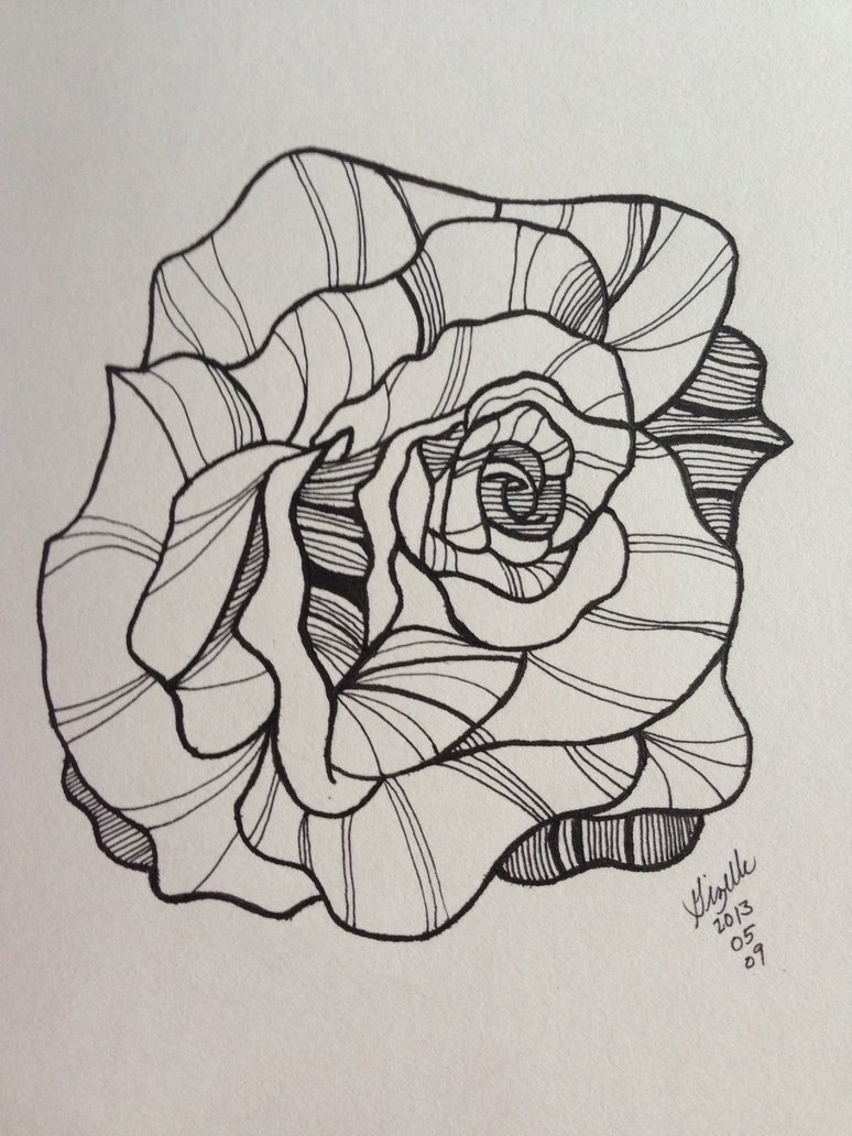 774x1032 Cabbage Rose By Gieluscious