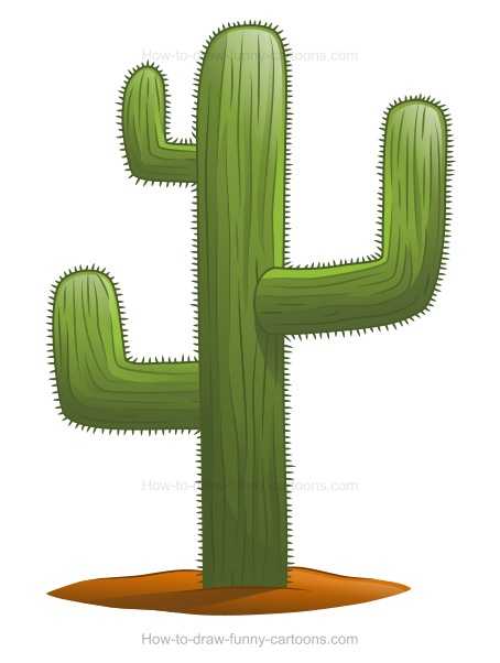 454x602 To Draw A Cactus