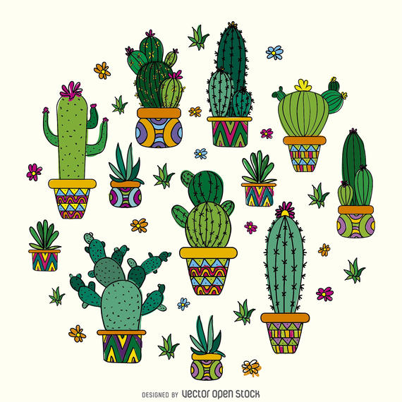570x570 Cactus Drawing Design