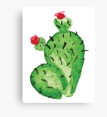 210x230 Cartoon Cactus Drawing Canvas Prints Redbubble
