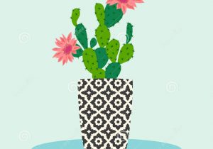 300x210 Cactus Flower Drawing