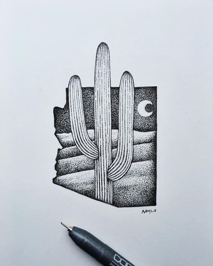 736x919 Drawn Cactus Arizona Cactus