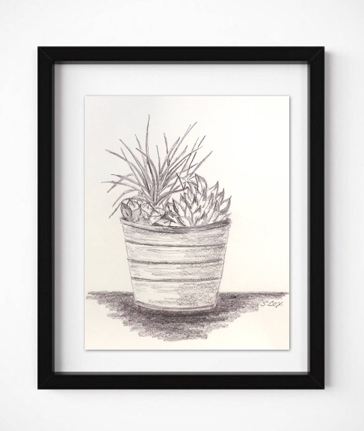 1268x1500 Pencil Drawing, Kitchen Art, Still Life Drawing, Graphite Cactus