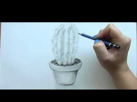 480x360 Still Life Drawing Tutorial Cactus (Easy)