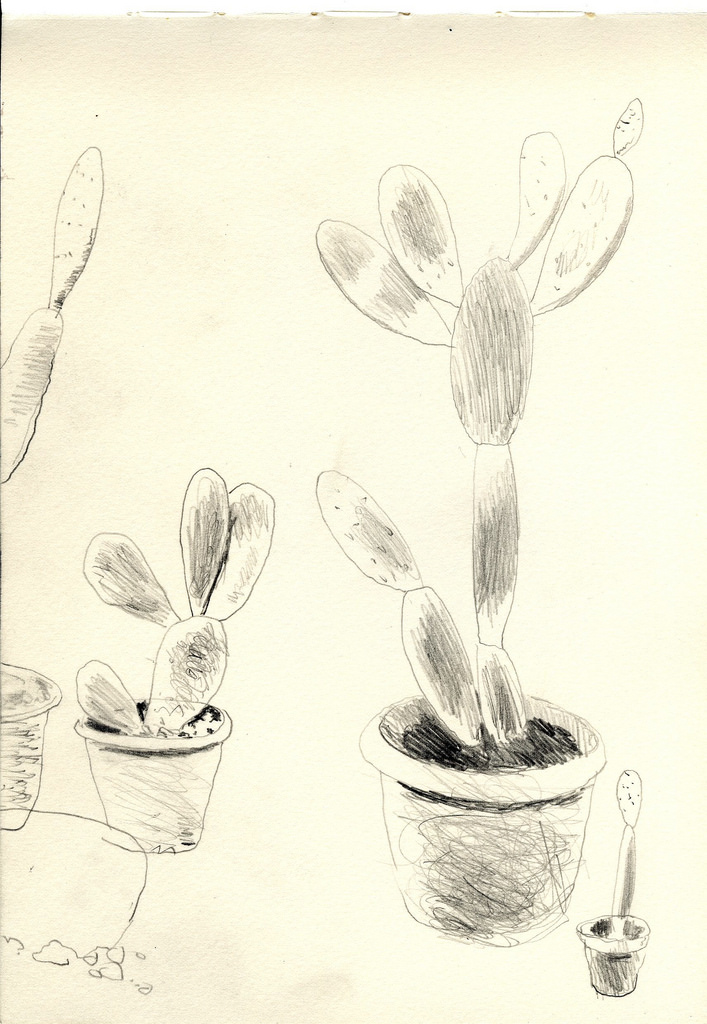 707x1024 The World's Best Photos Of Cactus And Pencil