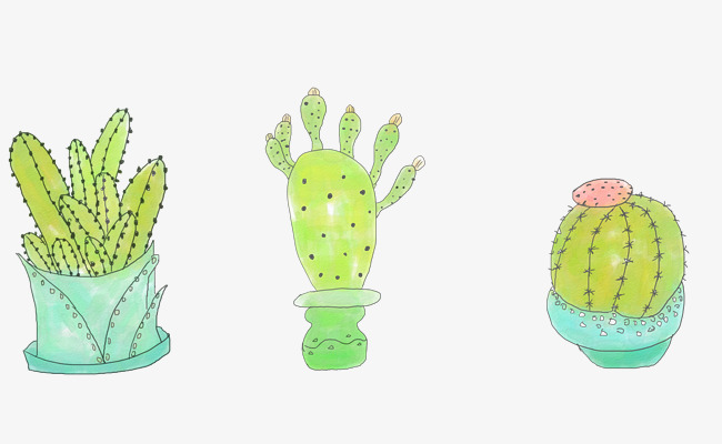 650x400 Hand Painted Cactus Small Fresh Plants, Cartoon Hand Drawing