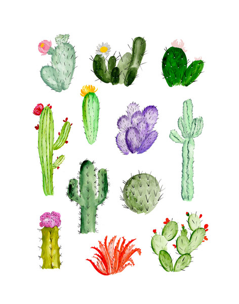 472x600 Print Of A Cacti Study Inspired By The Various Textures, Colors