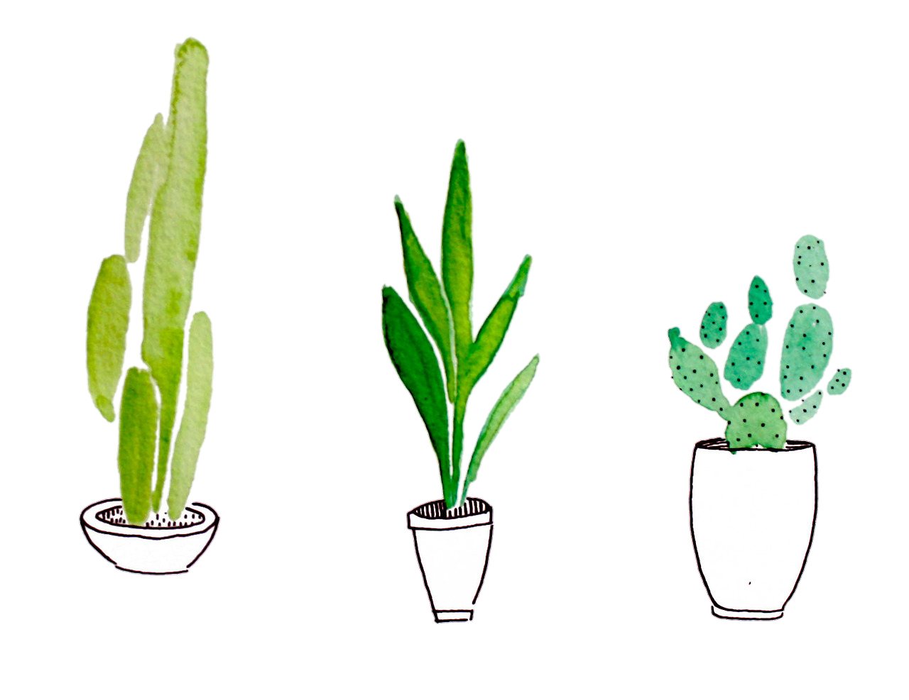 1280x987 Latest Planner Box Stickers