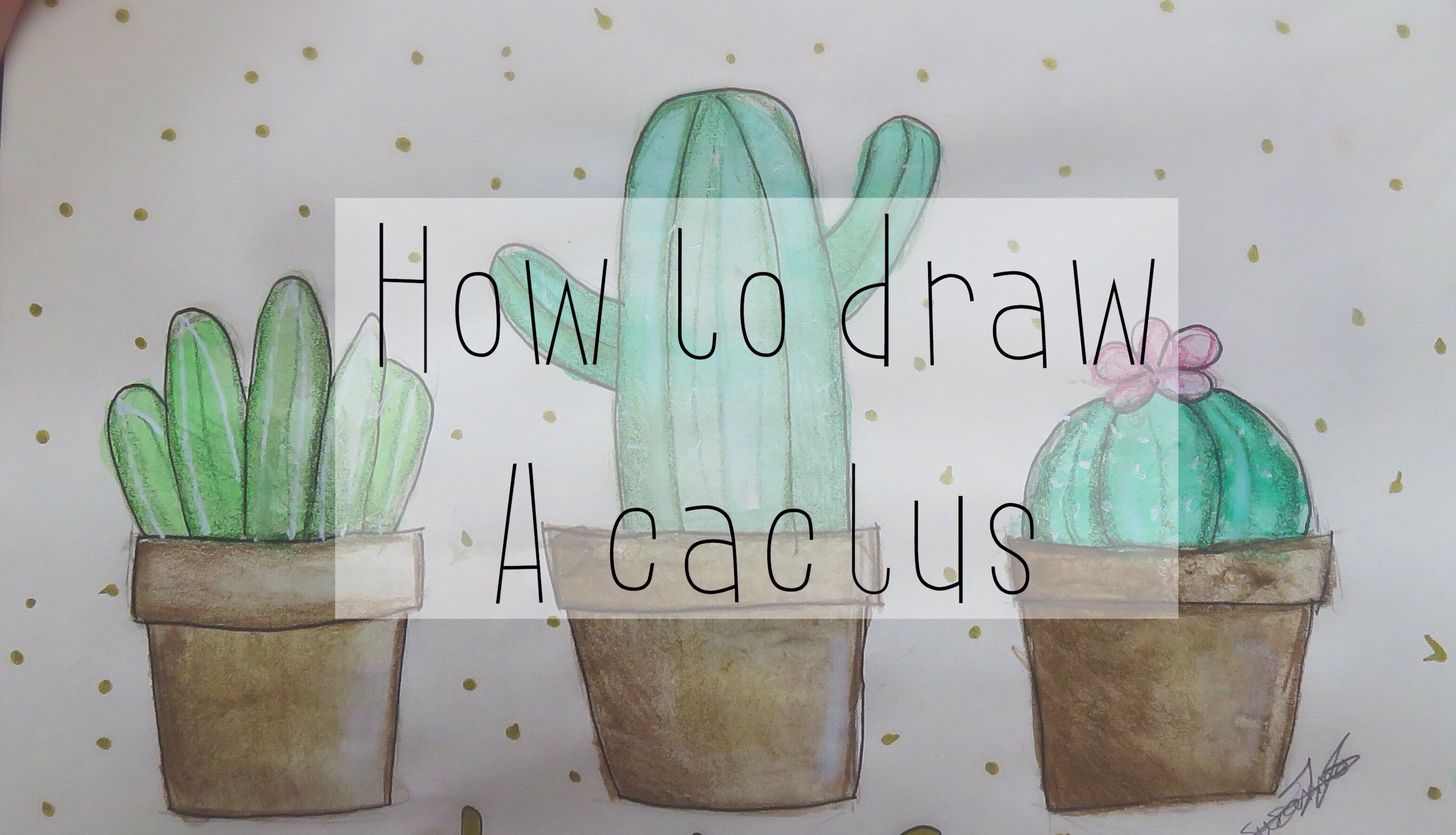 Cactus Tumblr Drawing at GetDrawings | Free download