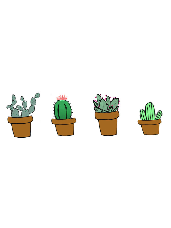 Cactus Tumblr Drawing at GetDrawings | Free download