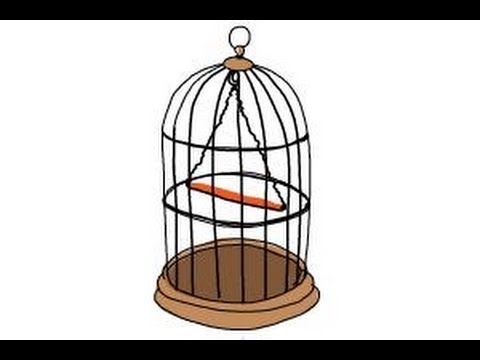480x360 How To Draw A Bird Cage