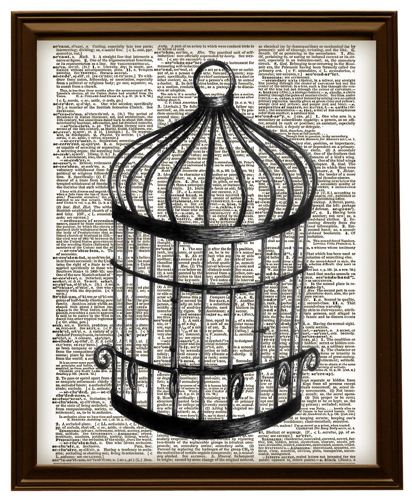 825x1000 Lovely Vintage Bird Cage Drawing Black And And 50 Similar Items