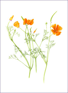 218x300 Mom Birth Month Flower