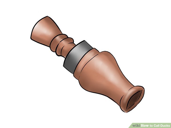 728x546 How To Call Ducks (With Pictures)