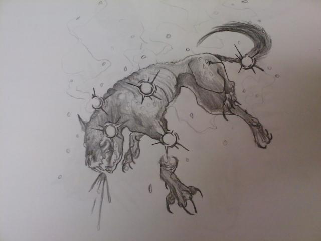 640x480 Call Of The Duty Zombie Dog By Redzedemo