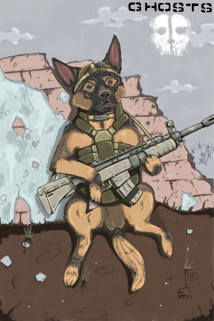 730x1095 Dog From Cod Ghosts By Bonuschita