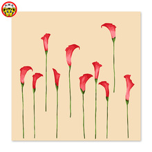 220x220 Compare Prices On Red Calla Lily Online Shoppinguy Low Price