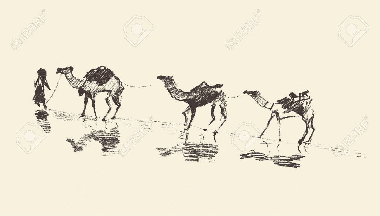 Camel Caravan Drawing at GetDrawings | Free download