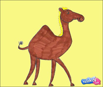 350x296 How To Draw Camel