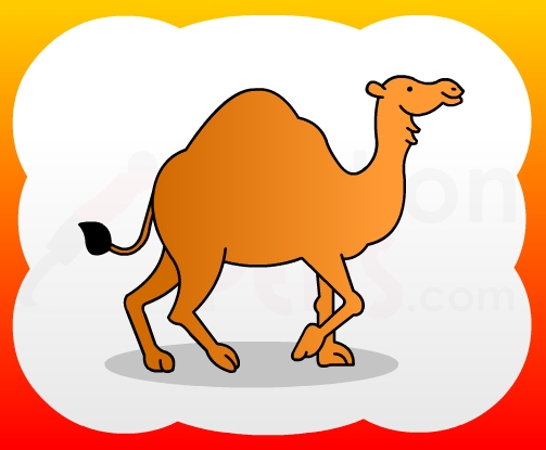503x415 How2draw4kids How To Draw Camel For Kids