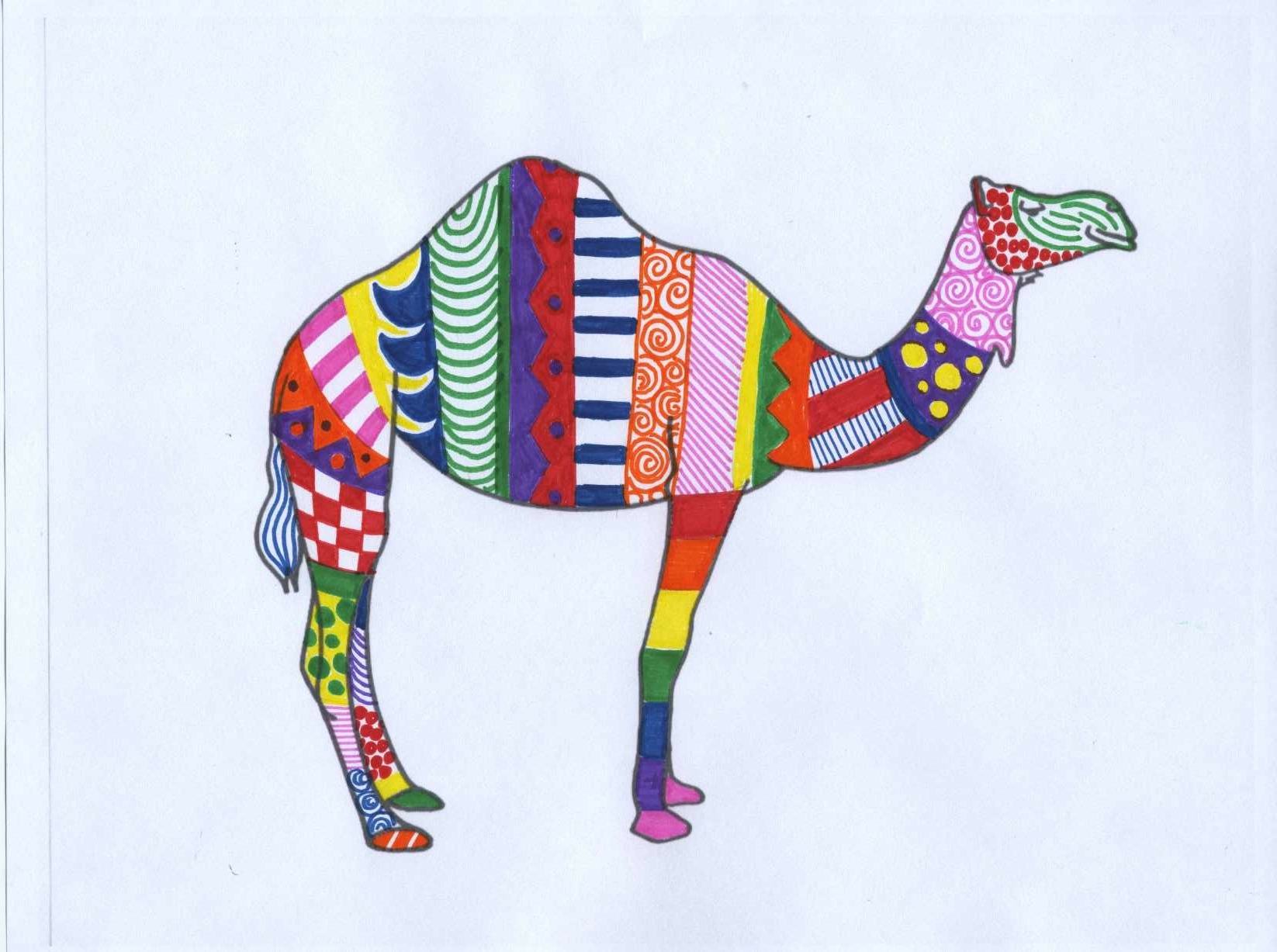 1646x1227 Camel Drawing Ulpan 4 Camels And Draw