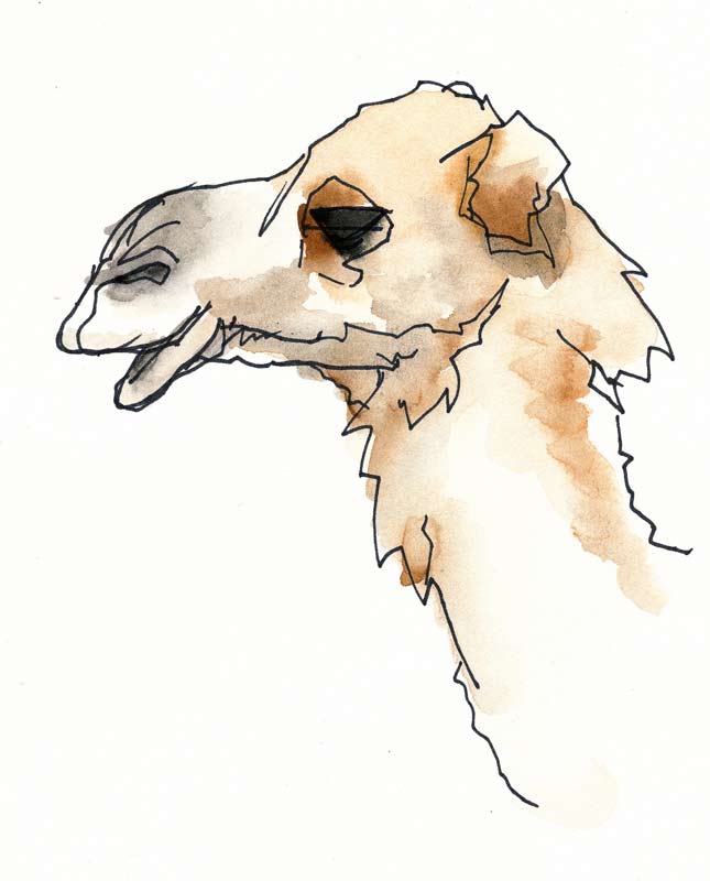 645x800 Khalid's Art Exhibition