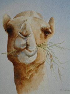 225x300 Artists Drawings Of Camels Animal Art Saverio Polloni