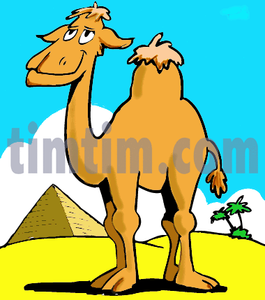 380x429 Free Drawing Of Camel From The Category Wild Animals