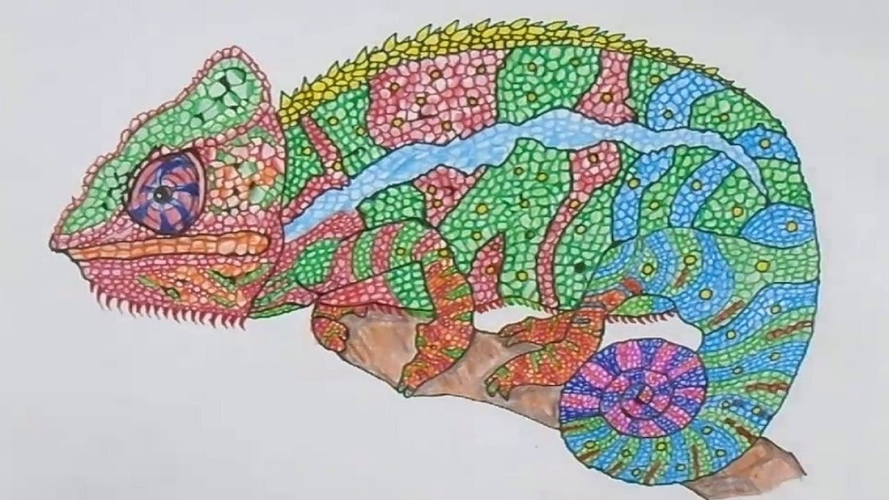 1280x720 How To Draw Chameleon