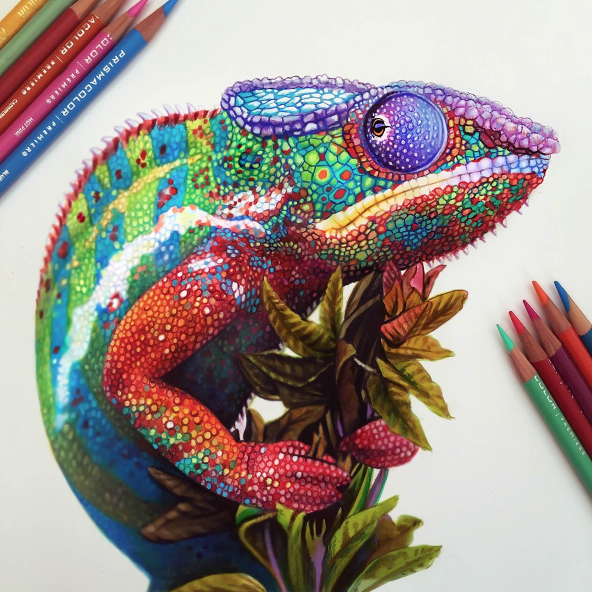 2000x2000 The Chameleon And Other 3d Drawings By Morgan Davidson Scene360