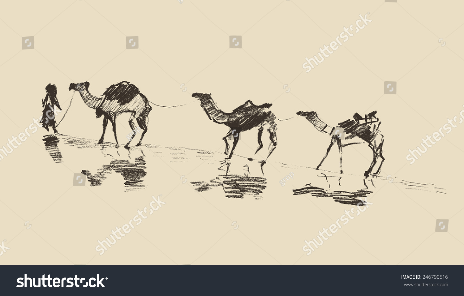 1500x957 Afbeeldingsresultaat Voor Camels Drawing Camel Love