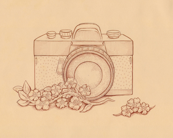 600x479 How To Draw A Vintage Camera With Sepia Ink Liners On Toned Paper