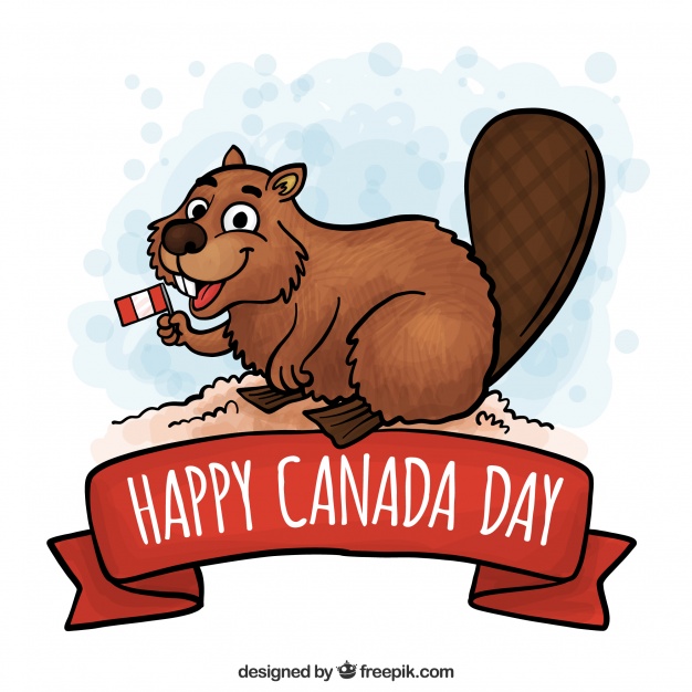 626x626 Beaver Vectors, Photos And Psd Files Free Download