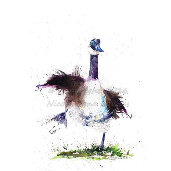 570x570 1133 Best Birds Images On Bird Art, Bird Paintings