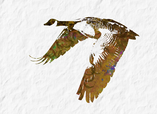 600x438 David Bergman, Art + Design