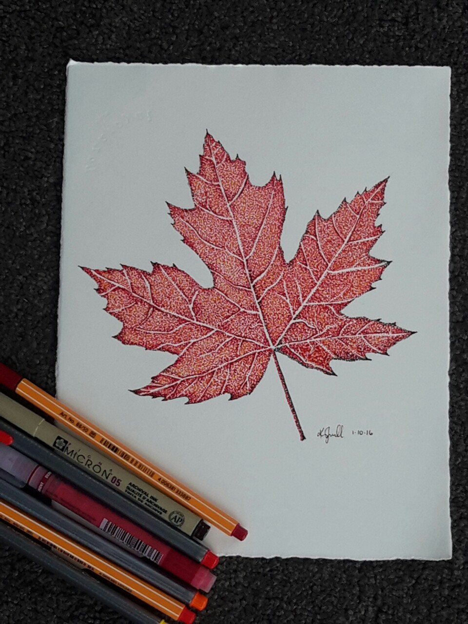 960x1280 Pointillism Drawing Of The Canadian Maple Leaf By Kristin.ivill