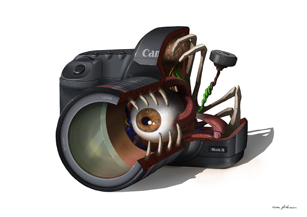 600x424 The Canon 5d Mark Ii Drawing