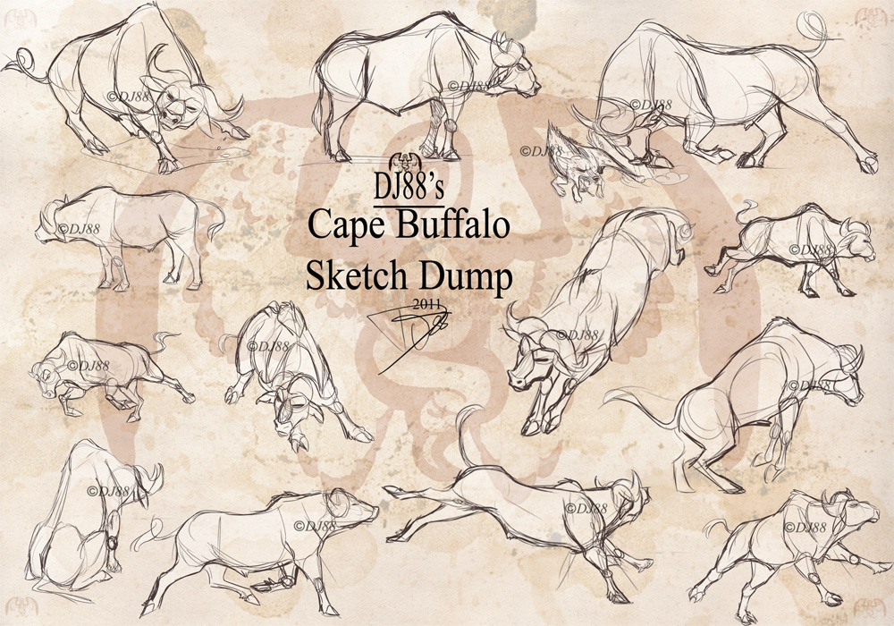 1000x700 Cape Buffalo Sketch Dump By Dj88