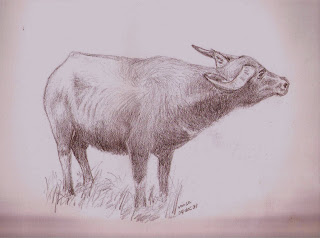 320x238 Manariwa April 2008