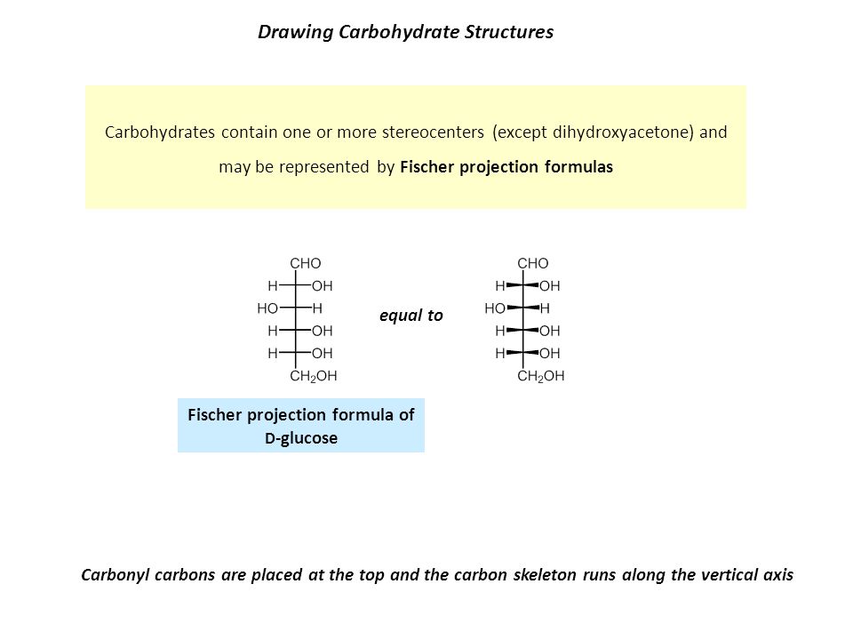 960x720 Carbohydrates Are The Largest Group Of Biomolecules