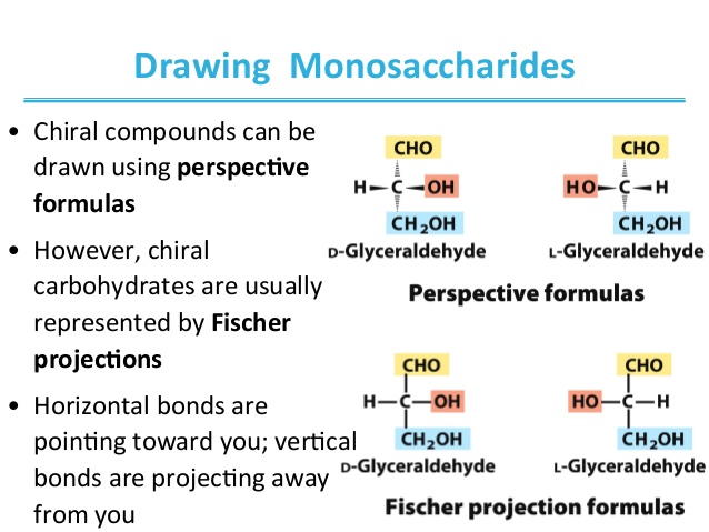 638x479 Chapter 7 Carbohydrate Biocjemistry