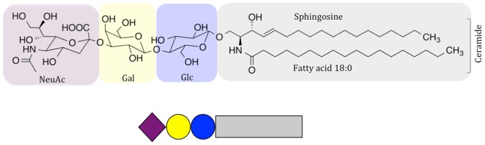 708x212 Schematic Drawing Of Neuac Gm3, A Common Ganglioside In Vertebrate