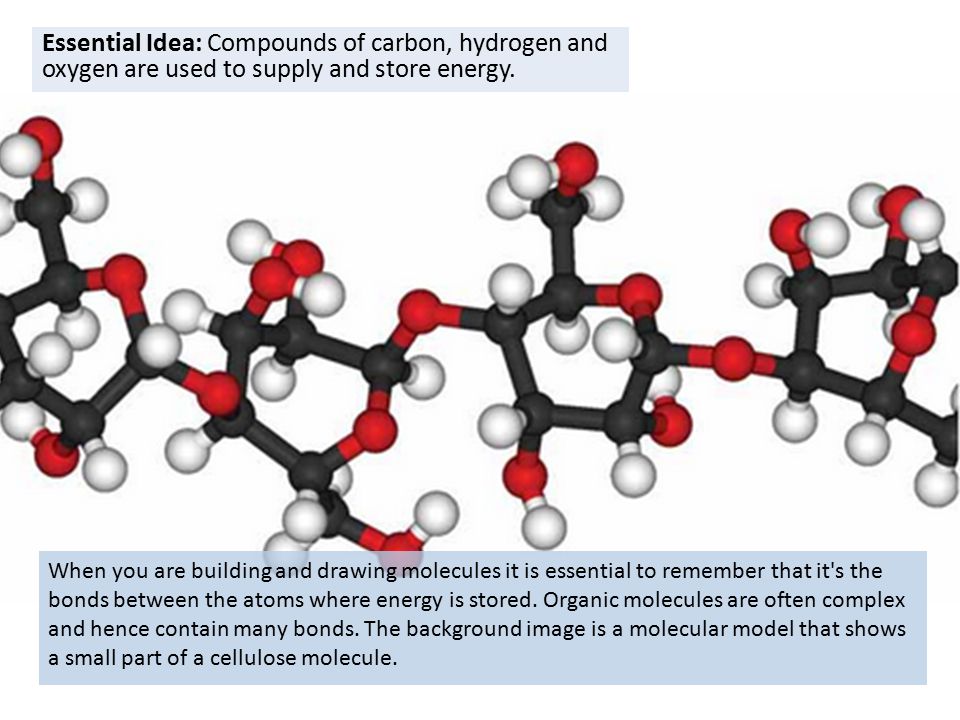 960x720 Carbohydrates Amp Lipids (2.3) Ib Diploma Biology Essential Idea